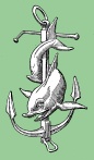 Dolphin anchor icon